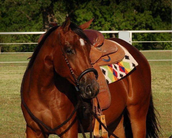 Pferd Blazin Hot N Smooth (Quarter Horse, 2012)