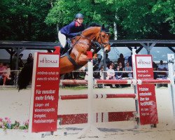 jumper Deewah (Austrian Warmblood, 2010, from Diamant de Semilly)