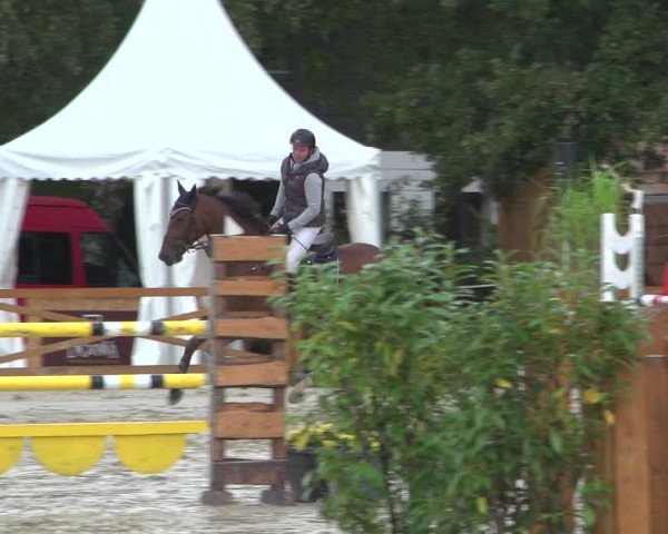 Reitturnier Köln - Reitanlage Brüse 2017