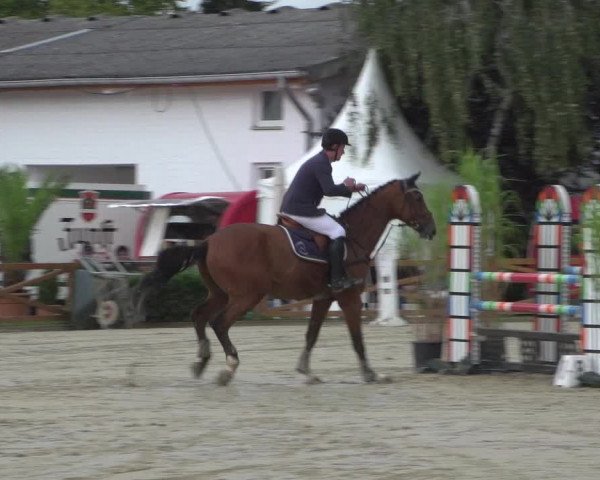 Reitturnier Köln - Reitanlage Brüse 2017
