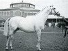 stallion Flying Curtis (Thoroughbred, 1960, from Colonist II xx)