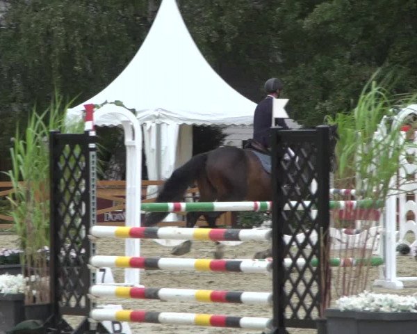 Reitturnier Köln - Reitanlage Brüse 2017