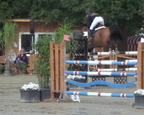 Reitturnier Köln - Reitanlage Brüse 2017