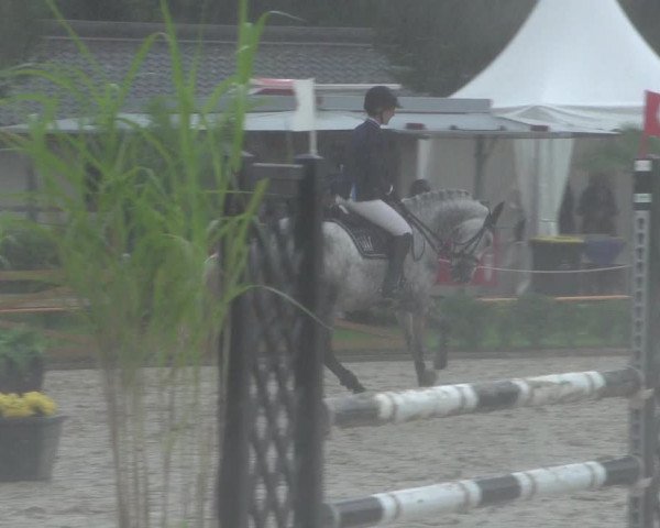 Reitturnier Köln - Reitanlage Brüse 2017