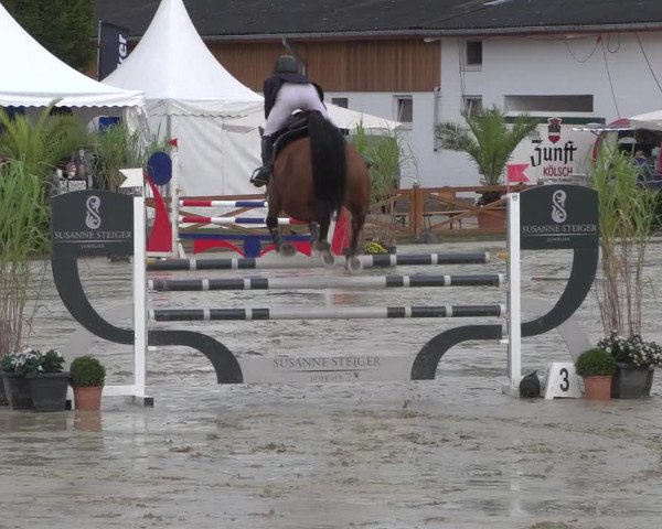 Reitturnier Köln - Reitanlage Brüse 2017