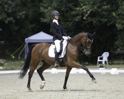 dressage horse Lady Carnaby (Rhinelander, 2011, from Lord Carnaby)