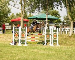 jumper Valentino 348 (New Forest Pony, 2006, from Manfred)