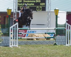 broodmare Desdemona DKG (Holsteiner, 2011, from Landstreicher)