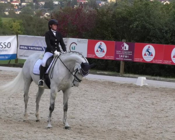 Reitturnier Hünsdorf-Ecurie Josy Hoffmann 2017