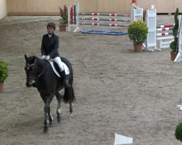 HH-Hell Klein Offenseth 2017