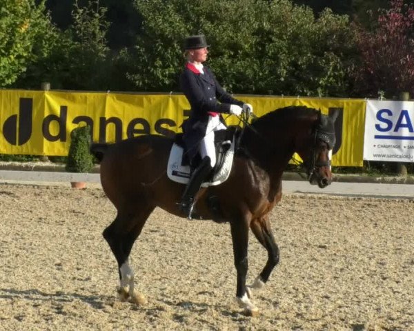 Reitturnier Hünsdorf-Ecurie Josy Hoffmann 2017