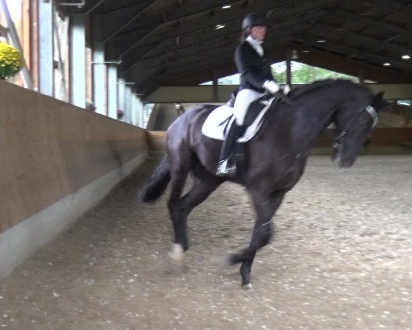 Reitturnier Mettmann - Reitanlage Löckenhoff 2017