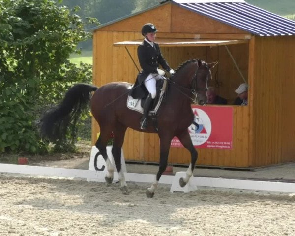 Reitturnier Hünsdorf-Ecurie Josy Hoffmann 2017
