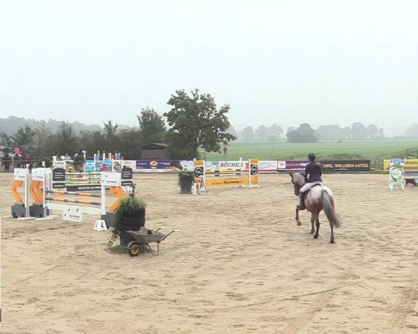 Reitturnier Lüdinghausen-Westrup 2017