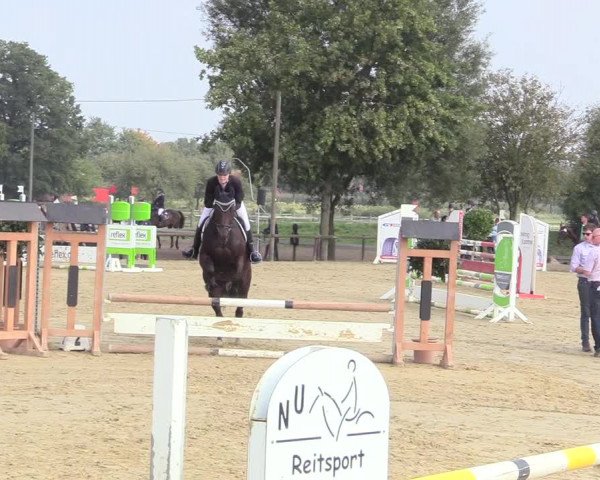 Reitturnier Lüdinghausen-Westrup 2017