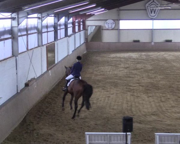 Reitturnier Lüdinghausen-Westrup 2017