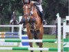 jumper Bascadeur R (Westphalian, 2004, from Balou du Rouet)