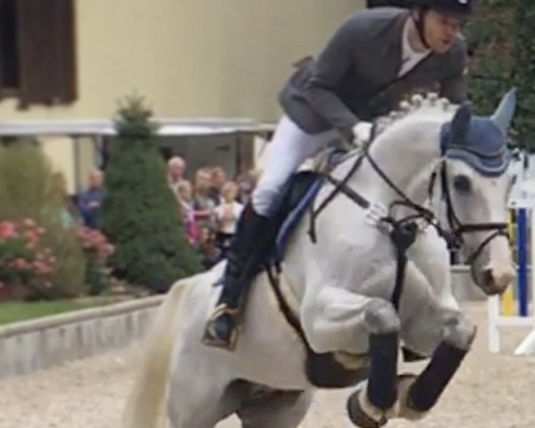 jumper Ramazoti 2 (German Sport Horse, 2006, from Rudelsburg)
