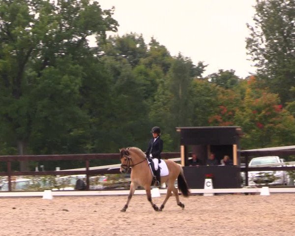 Reitturnier Müncheberg 2017