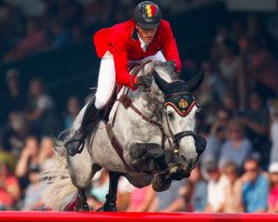 jumper Harley van de Bisschop (Belgian Warmblood, 2007, from Dulf van den Bisschop)