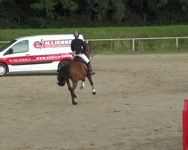 Reitturnier Köln-Leverkusen 2017
