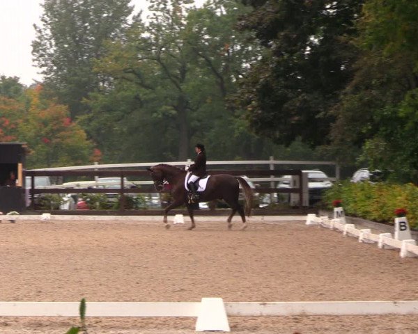 Reitturnier Müncheberg 2017