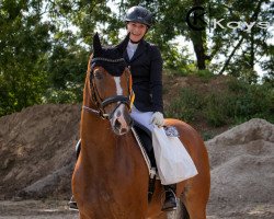 dressage horse Lucca L (Bavarian, 2010, from Lissaro)