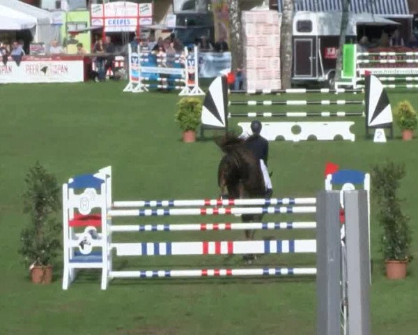 Reitturnier Bad Segeberg 2017