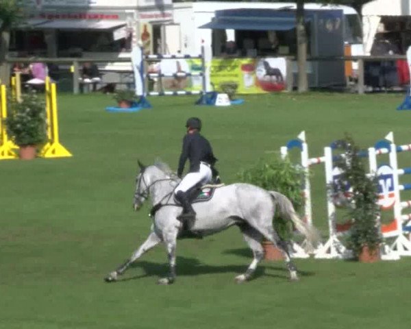 Reitturnier Bad Segeberg 2017