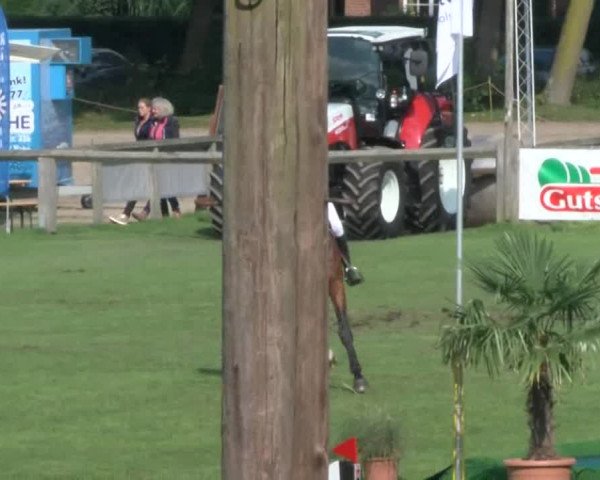 Reitturnier Bad Segeberg 2017