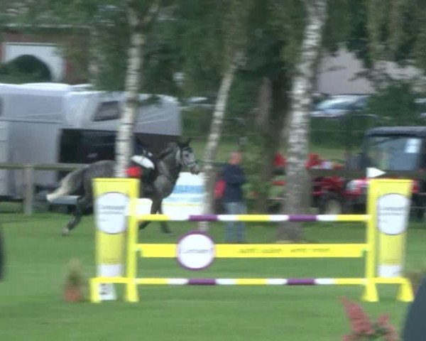 Reitturnier Bad Segeberg 2017