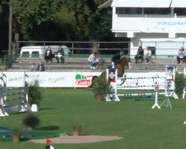Reitturnier Bad Segeberg 2017