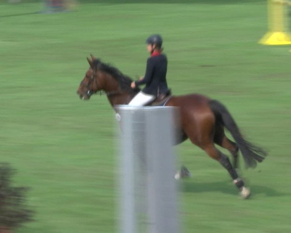Reitturnier Bad Segeberg 2017