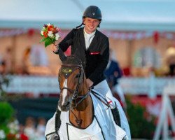 jumper Dolores Bh (KWPN (Royal Dutch Sporthorse), 2008, from Berlin)