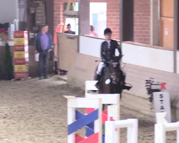 Reitturnier Vlotho-Valdorf 2017