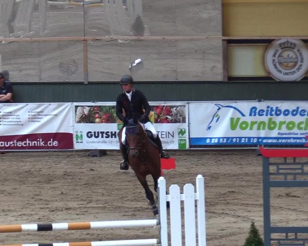 Reitturnier Warstein 2017