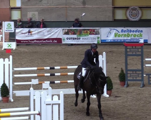 Reitturnier Warstein 2017
