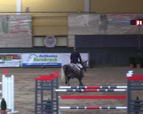 Reitturnier Warstein 2017