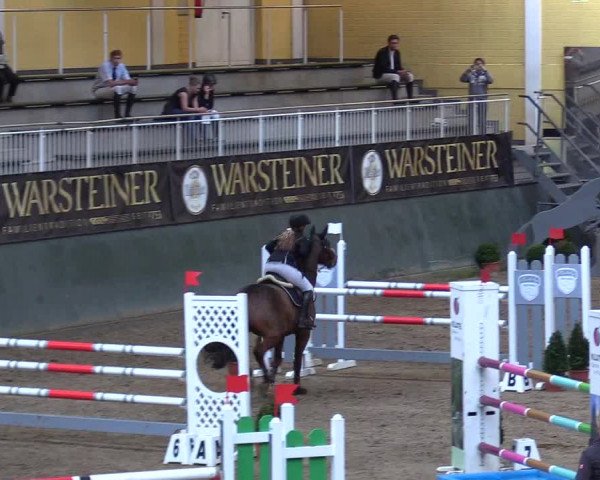 Reitturnier Warstein 2017