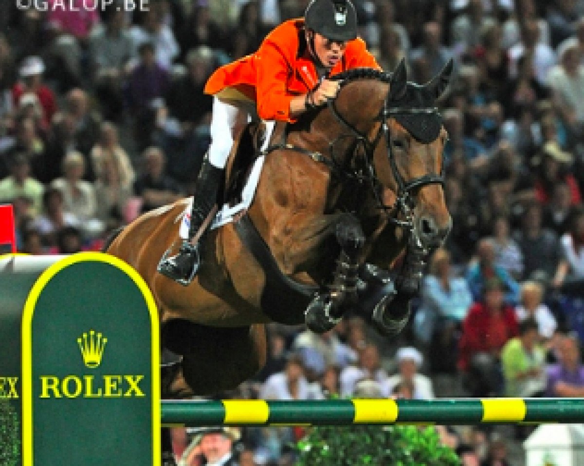 broodmare Exquis Walnut de Muze (Belgian Warmblood, 1999, from Nabab de Rêve)
