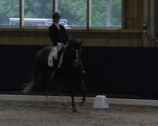 Reitturnier Weilheim/Teck 2017