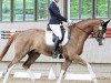 dressage horse Belmar (Westphalian, 2011, from Belissimo NRW)