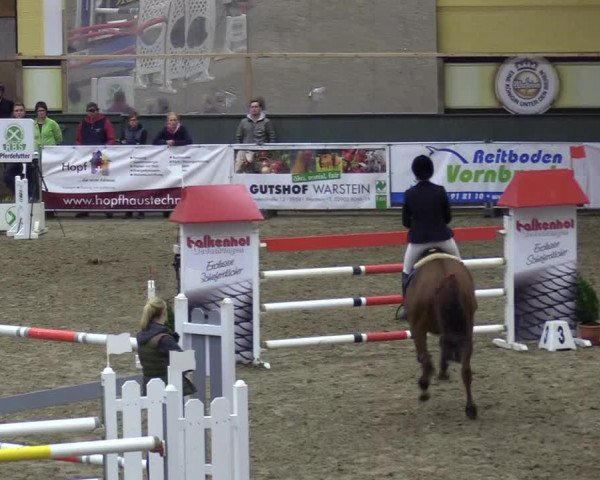 Reitturnier Warstein 2017