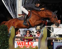 stallion Versace van de Ruitershoeve (Belgian Warmblood, 1998, from Heartbreaker)