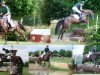 eventing horse Celia 42 (Holsteiner, 2013, from Cormint)