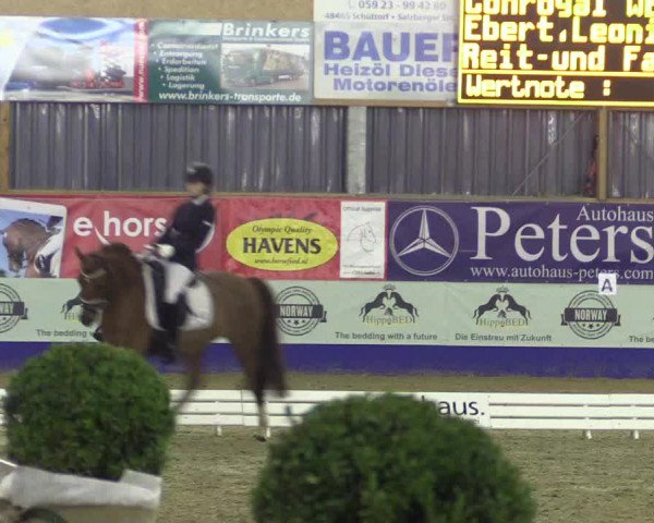 Reitturnier Isterberg 2017