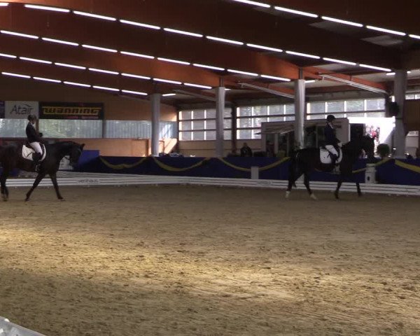 Reitturnier Isterberg 2017