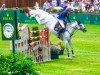 stallion Hector van d'Abdijhoeve (Belgian Warmblood, 2007, from Cabrio van de Heffinck)