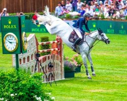 stallion Hector van d'Abdijhoeve (Belgian Warmblood, 2007, from Cabrio van de Heffinck)