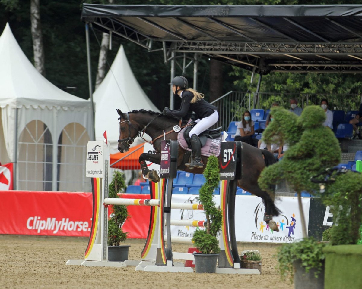 broodmare Melli's Just Vanny (German Riding Pony, 2015, from Van Heinrich)